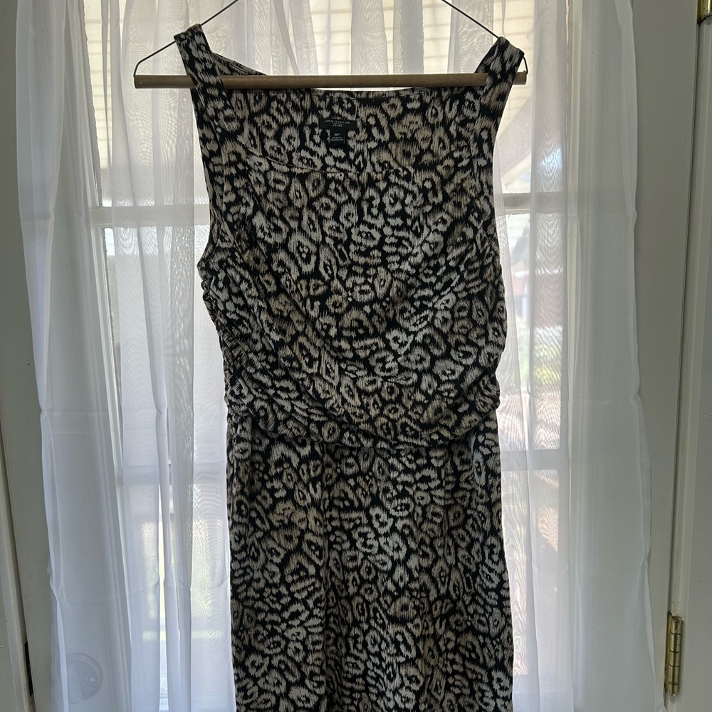 Ann Taylor Black and White Midi Dress
